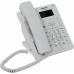 Telefon IP Panasonic KX-HDV100RU